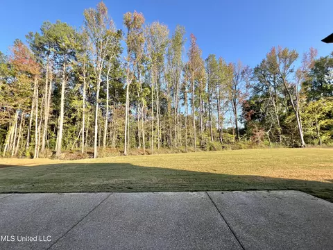 Exterior - 2422 Scott Meadows Ln, Hernando, MS 38632 photo 2 of 4