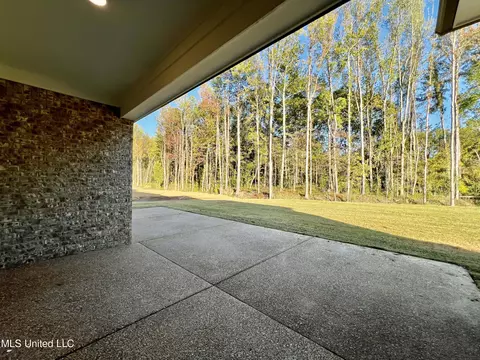 Exterior - 2422 Scott Meadows Ln, Hernando, MS 38632 photo 3 of 4