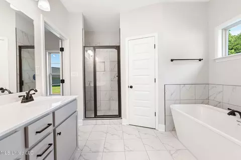 Bath - 2422 Scott Meadows Ln, Hernando, MS 38632 photo 1 of 1
