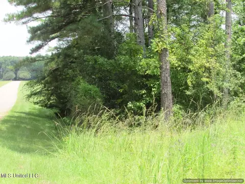 Lakeshire Parkway, Canton, MS 39046 photo 5