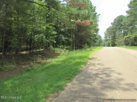 Lakeshire Parkway, Canton, MS 39046 photo 3