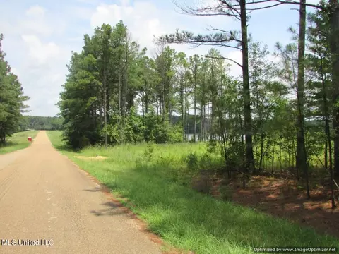 Lakeshire Parkway, Canton, MS 39046 photo 2