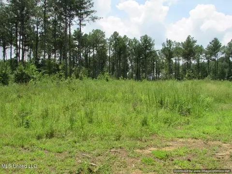 Lakeshire Parkway, Canton, MS 39046 photo 16
