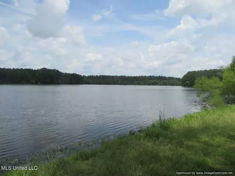 Lakeshire Parkway, Canton, MS 39046 photo 14