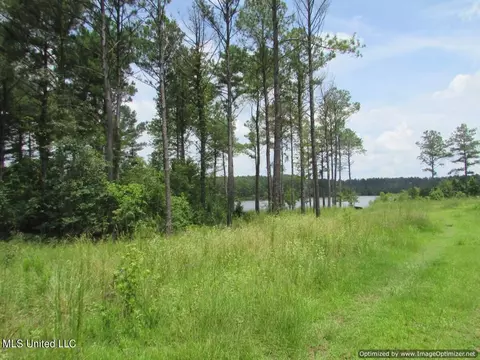 Lakeshire Parkway, Canton, MS 39046 photo 8