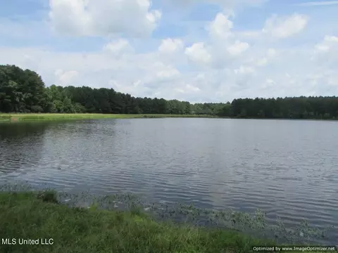 Lakeshire Parkway, Canton, MS 39046 photo 15