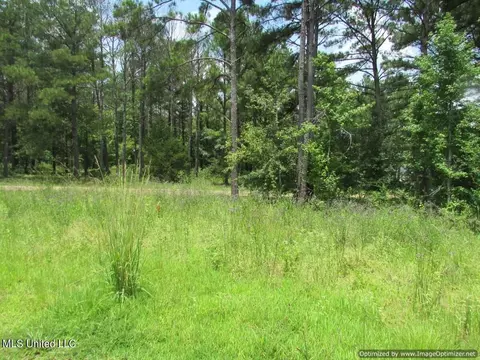 Lakeshire Parkway, Canton, MS 39046 photo 7