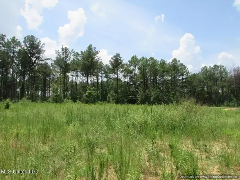 Lakeshire Parkway, Canton, MS 39046 photo 11