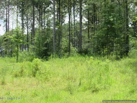 Lakeshire Parkway, Canton, MS 39046 photo 4
