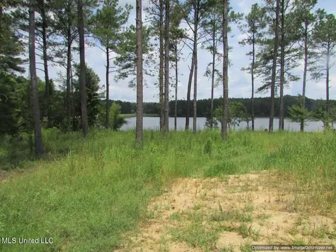 Lakeshire Parkway, Canton, MS 39046 photo 9