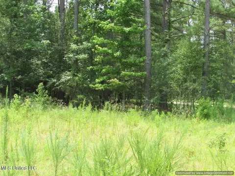Lakeshire Parkway, Canton, MS 39046 photo 6