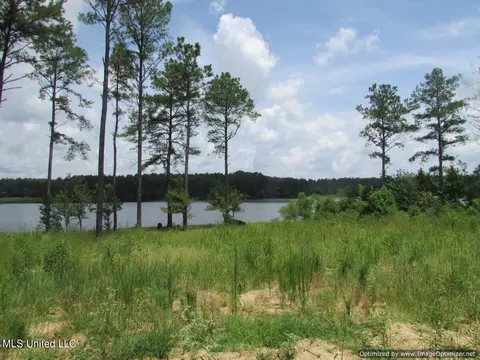 Lakeshire Parkway, Canton, MS 39046 photo 10