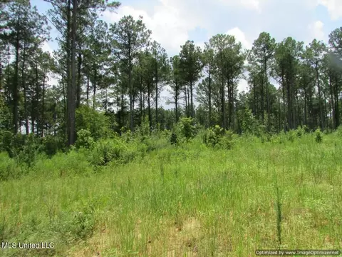 Lakeshire Parkway, Canton, MS 39046 photo 12