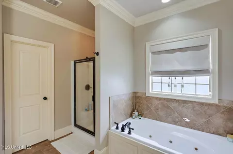 Bath - 111 Belle Oak Dr, Brandon, MS 39042 photo 1 of 2