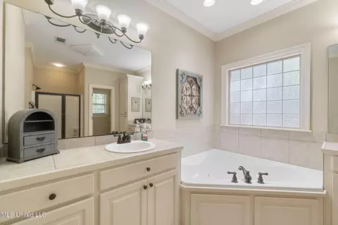 Bath - 185 Latigo Loop, Sumrall, MS 39482 photo 2 of 5