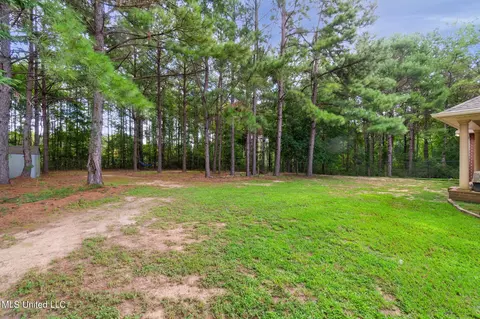 Exterior - 185 Latigo Loop, Sumrall, MS 39482 photo 9 of 9
