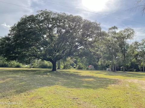 7217 Tanner Williams Rd, Lucedale, MS 39452 photo 4