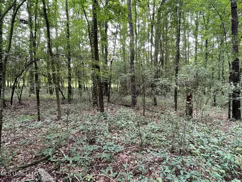 Highway 483, Lena, MS 39094 photo 19