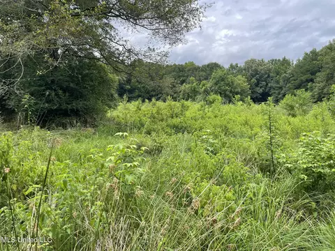 Highway 483, Lena, MS 39094 photo 8