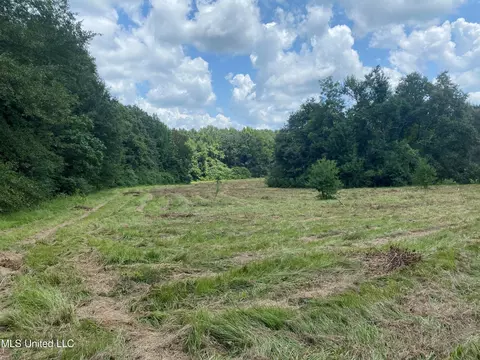 Highway 483, Lena, MS 39094 photo 3