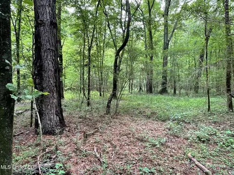 Highway 483, Lena, MS 39094 photo 12