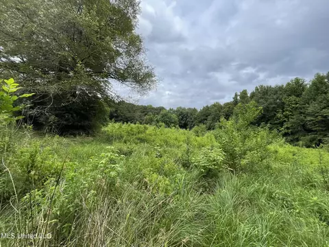 Highway 483, Lena, MS 39094 photo 10