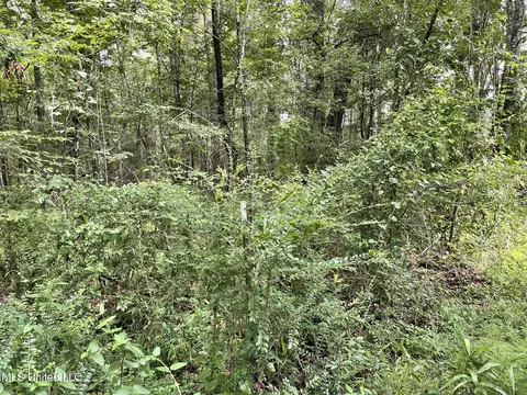 Highway 483, Lena, MS 39094 photo 5