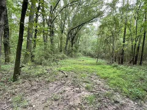Highway 483, Lena, MS 39094 photo 13