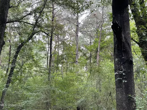 Highway 483, Lena, MS 39094 photo 17