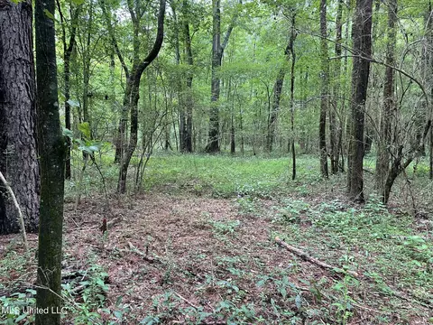 Highway 483, Lena, MS 39094 photo 11
