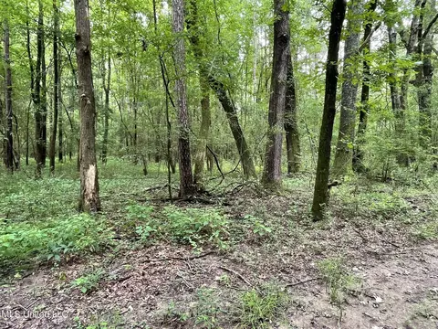 Highway 483, Lena, MS 39094 photo 14