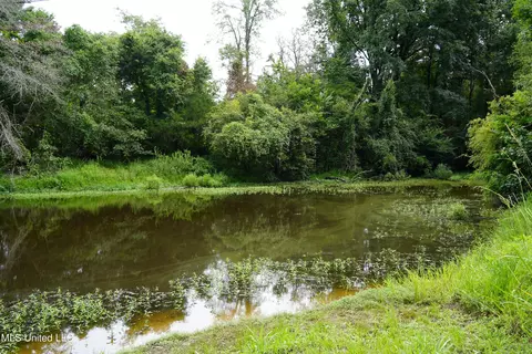 104 Cedar Ridge Rd, Raymond, MS 39154 photo 8
