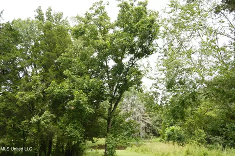104 Cedar Ridge Rd, Raymond, MS 39154 photo 3