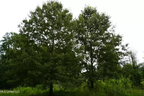 104 Cedar Ridge Rd, Raymond, MS 39154 photo 12