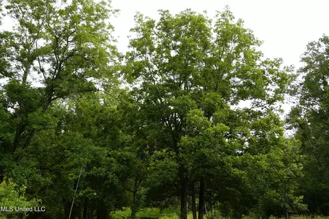 104 Cedar Ridge Rd, Raymond, MS 39154 photo 11