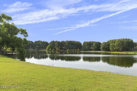 View/Area - 384 Mannsdale Rd, Madison, MS 39110 photo 1 of 2