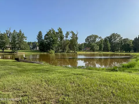 162 View Pointe Dr, Clinton, MS 39056 photo 54