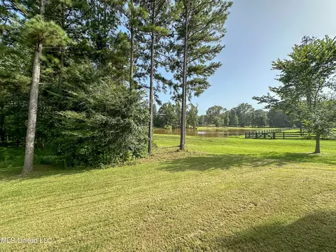 162 View Pointe Dr, Clinton, MS 39056 photo 56