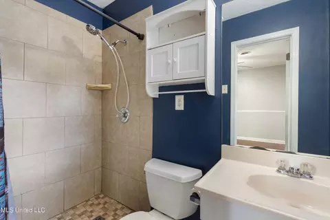 Bath - 479 Oakhurst Dr, Hernando, MS 38632 photo 2 of 2