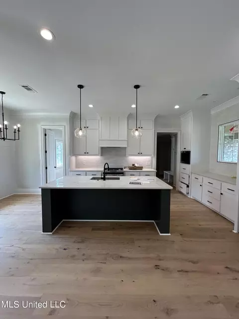 Kitchen - 231 Lizzy Ln, Brandon, MS 39047 photo 2 of 3