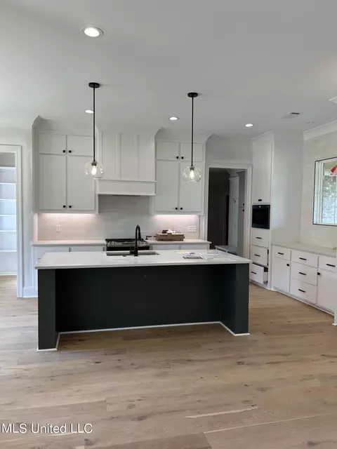 Kitchen - 231 Lizzy Ln, Brandon, MS 39047 photo 3 of 3