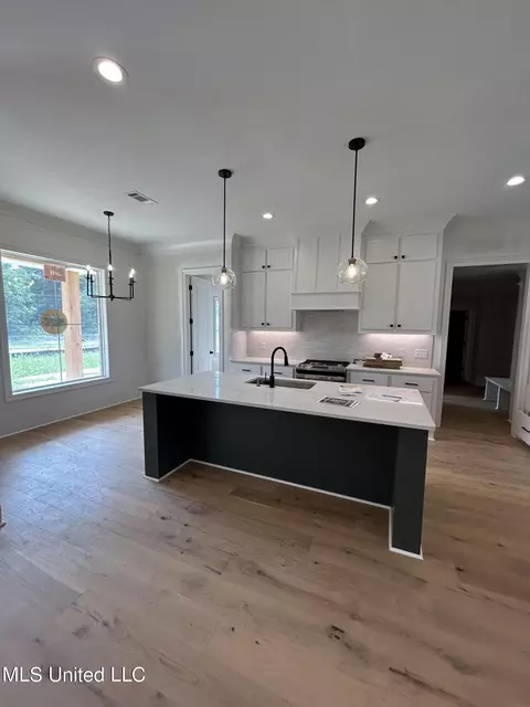 Kitchen - 231 Lizzy Ln, Brandon, MS 39047 photo 1 of 3
