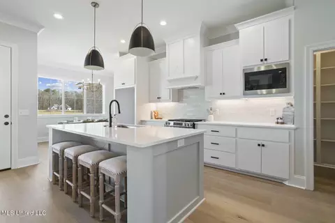 Kitchen - 235 Lizzy Ln, Brandon, MS 39047 photo 1 of 4