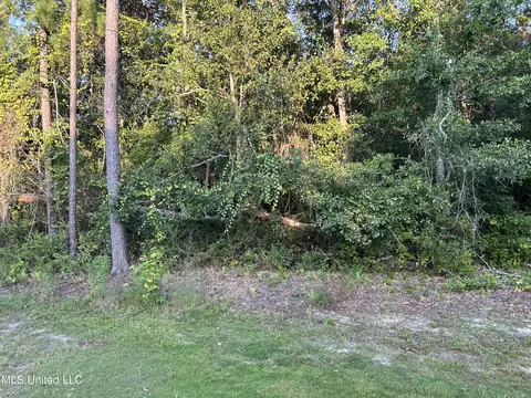 0 N Diamondhead Dr, Diamondhead, MS 39525 photo 3