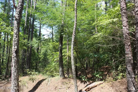 2999 Reaves Rd, Ashland, MS 38603