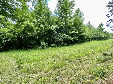 0 Walker Smith Rd, Florence, MS 39073 photo 5