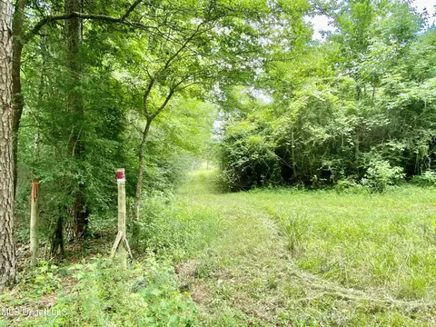 0 Walker Smith Rd, Florence, MS 39073 photo 4