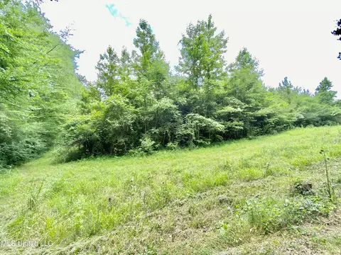 0 Walker Smith Rd, Florence, MS 39073 photo 3