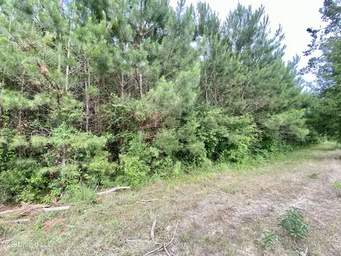 0003 Seventh Day Rd, Florence, MS 39073 photo 5