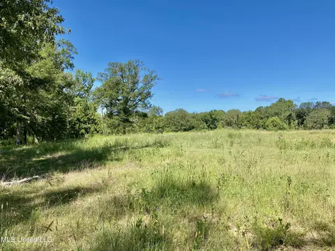 0 Cynthia Rd, Jackson, MS 39209 photo 3